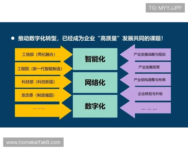 利用K8集团网站优化企业运营效率的实用技巧，提升企业数字化管理水平